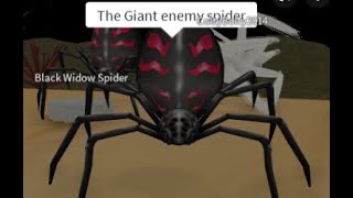 spoder