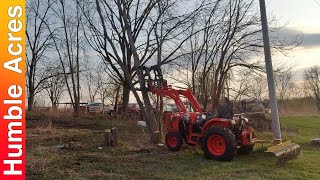 Removing All Of My Dead Ash Trees