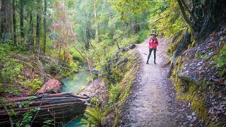 Hiking & Truck Camping Big Basin Redwoods State Park Trip 4K | Boulder Creek | Santa Cruz Mountains