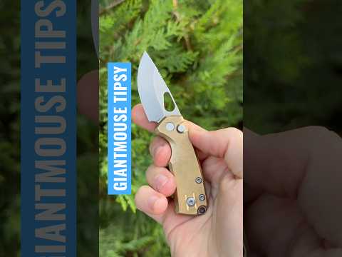 Giantmouse ACE Tipsy - Tiny Buttonlock EDC!