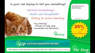 Pet Shop: Digital Signage screenshot 3