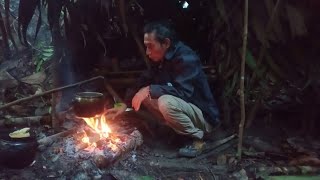 Download Lagu Solo Bushcraft Indonesia, A pretty scary night, rain relaxation and wild life MP3