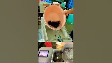 CÔNG NGHỆ ĐỈNH CAO: MÁY ĐẾM CÁ GIỐNG TỰ ĐỘNG LÀM CẢ TRẠI NUÔI SỬNG SỐT!