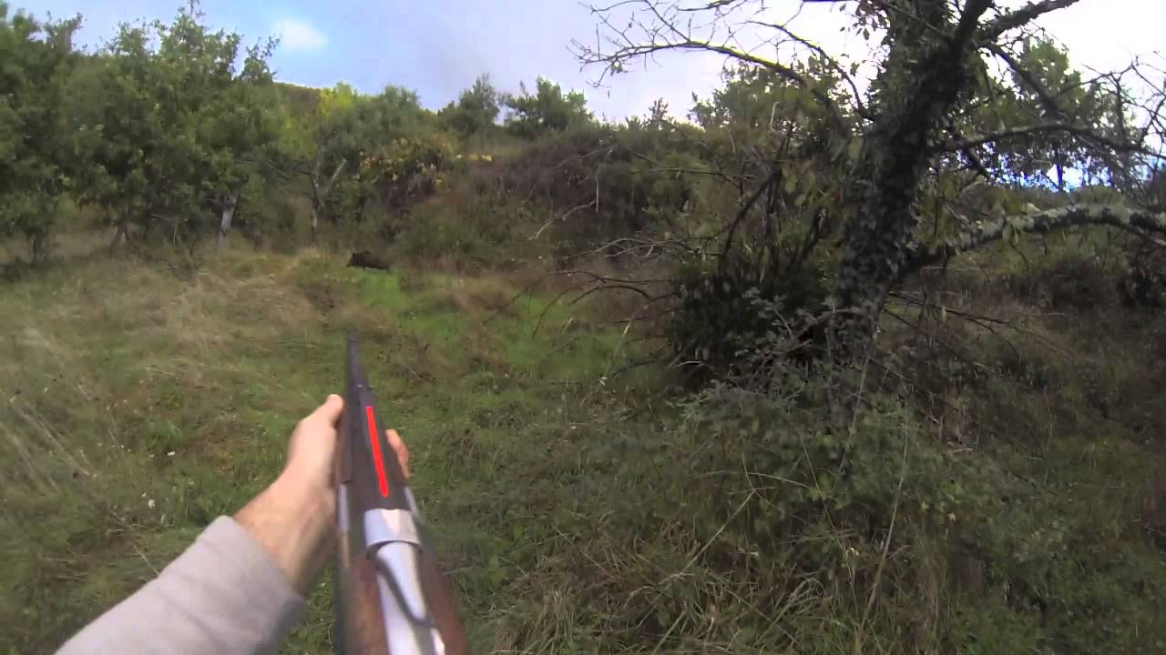 chasse sanglier cevennes - YouTube