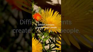 Difficult Moments Create Powerful People Inspirational Relaxation Wild Birds Flowers