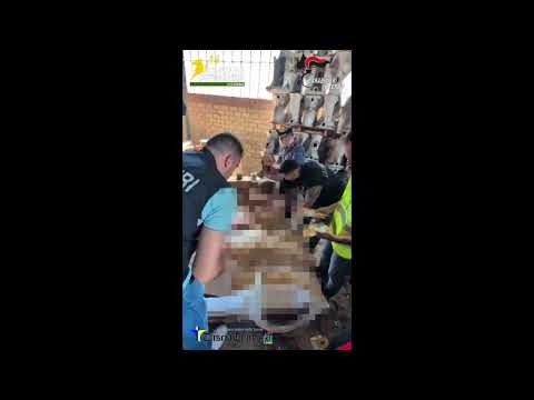 Video GdF Viterbo: individuata e smantellata una fabbrica clandestina di sigarette a Civita Castellana