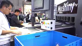 Mushiny 3D Sorter Max: Enhancing Efficiency and Saving Space