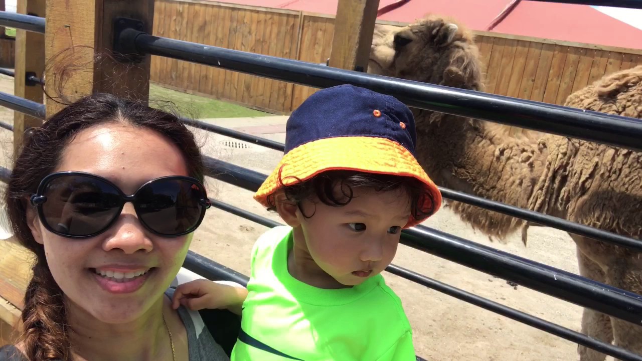 White Post Farm July 1st 2017 YouTube