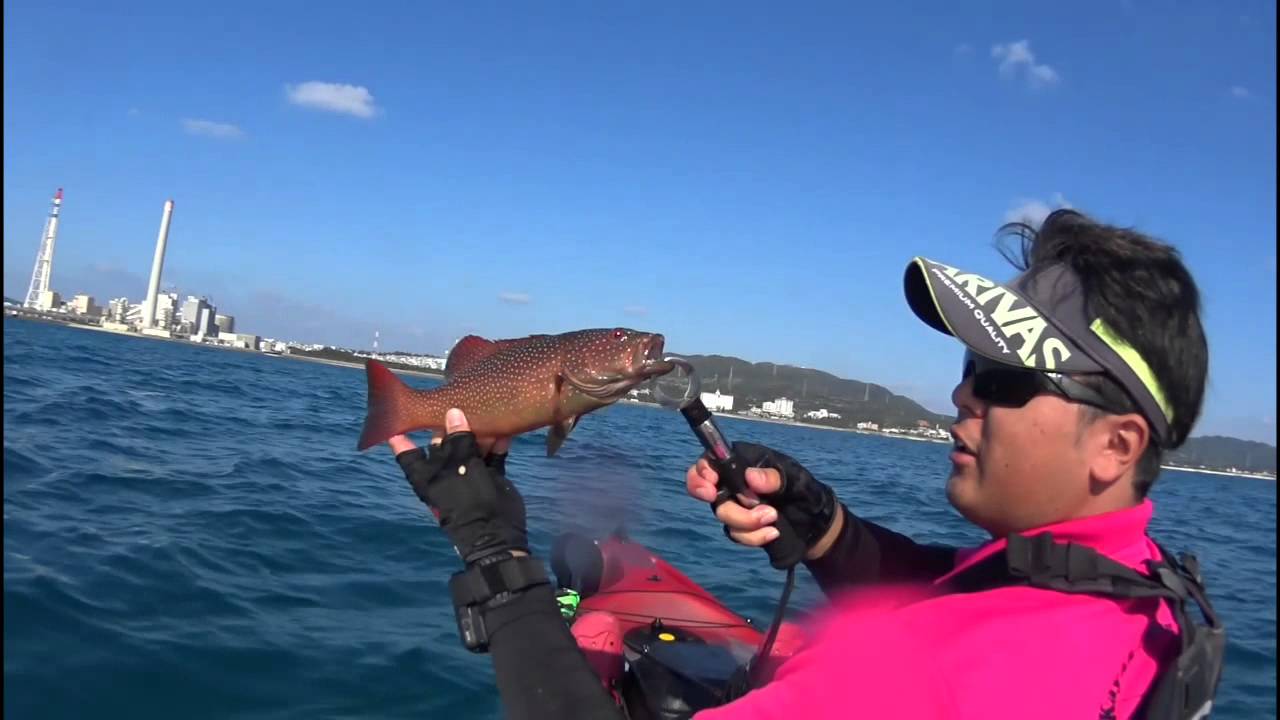 ヤミハタの聖地でキロｕｐアオリイカ 沖縄カヤックフィッシング Okinawa Kayak Fishing Youtube