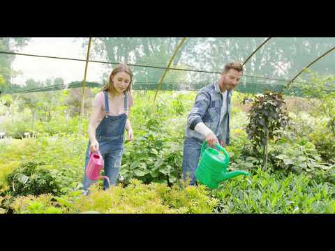 watering cans Gardenfrontier - Top 10 Watering Cans 2021