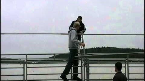 ChinooksStalls.com - Step 6 Completion of roof frame