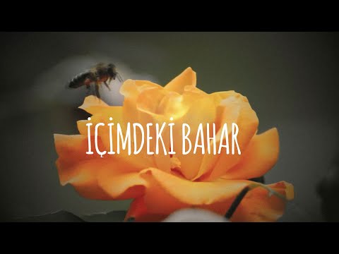 Serhat Erdem - İçimdeki Bahar