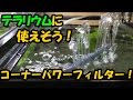 ★商品レビュー★コーナーパワーフィルター！テラリウムに良さそう！ 【大分グッピーFC】