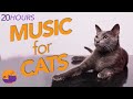 EXTREME RELAXATION Music for Cats - 20 HOUR Anti-anxiety Lullaby