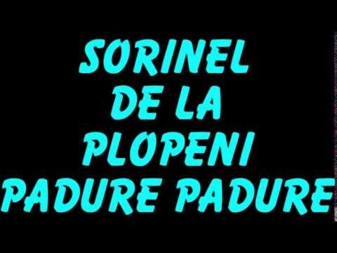 SORINEL DE LA PLOPENI PADURE PADURE