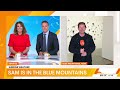 Blue Mountains cultural centre showcases Indigenous art | Sunrise