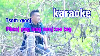 Video thumbnail of "Tsom xyooj - Phooj Ywg Luag Neej Zoo Tag [karaoke]"