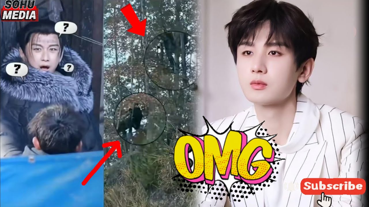 OMG! Момент, когда Чэн И был потрясен до глубины души, увидев папарацци, висящих на дереве!