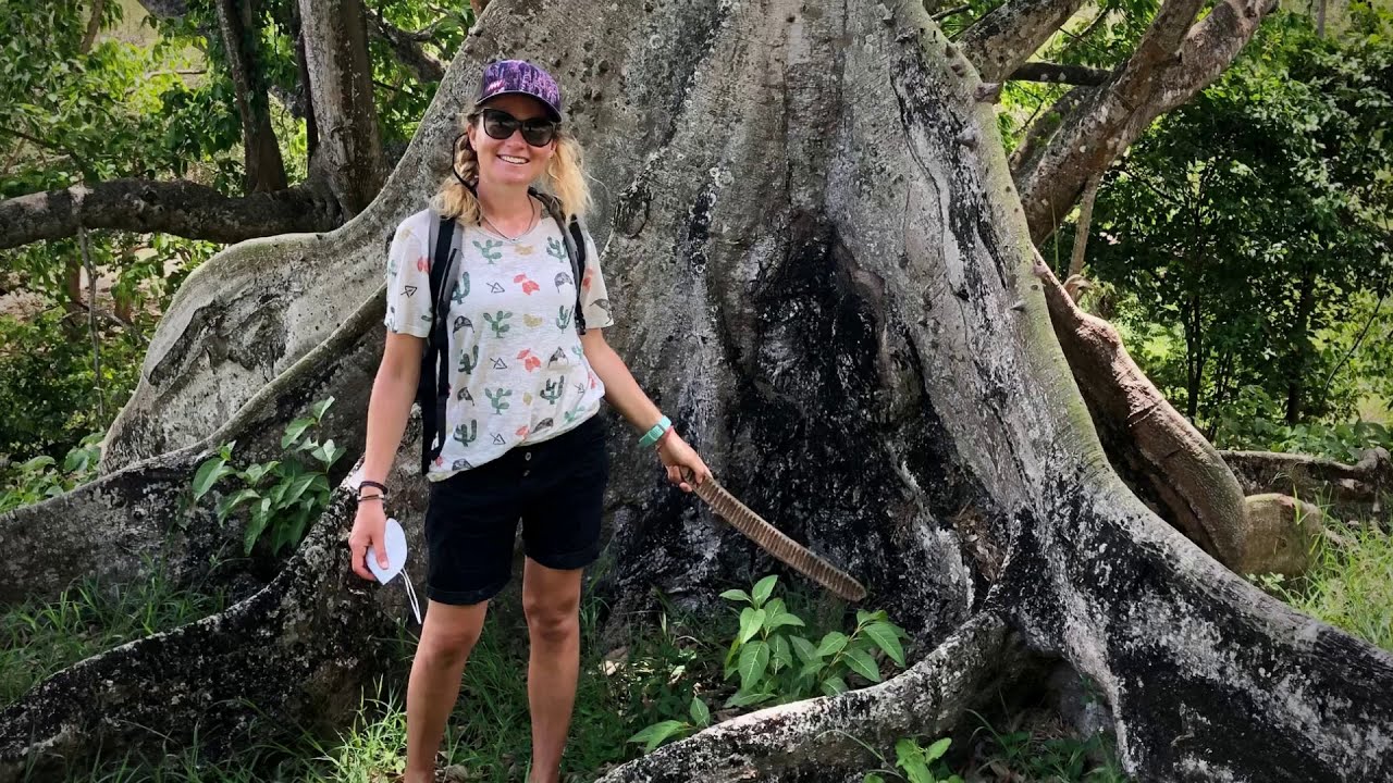 Sailing in the Carribean 🌸