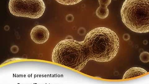 Cell Meiosis PowerPoint Template by PoweredTemplate.com