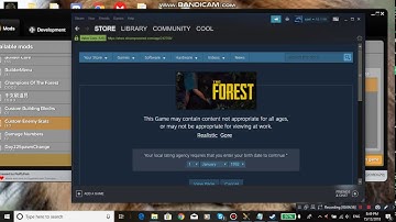 The Forest Modapi how to fix an error occurred while applying mod