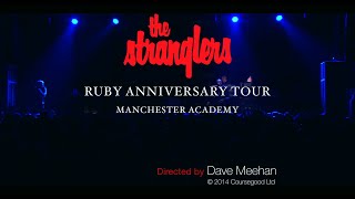 The Stranglers Golden Brown Live in Manchester Resimi