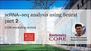 scRNA-seq analysis using Seurat, part 2 [CDN workshop]