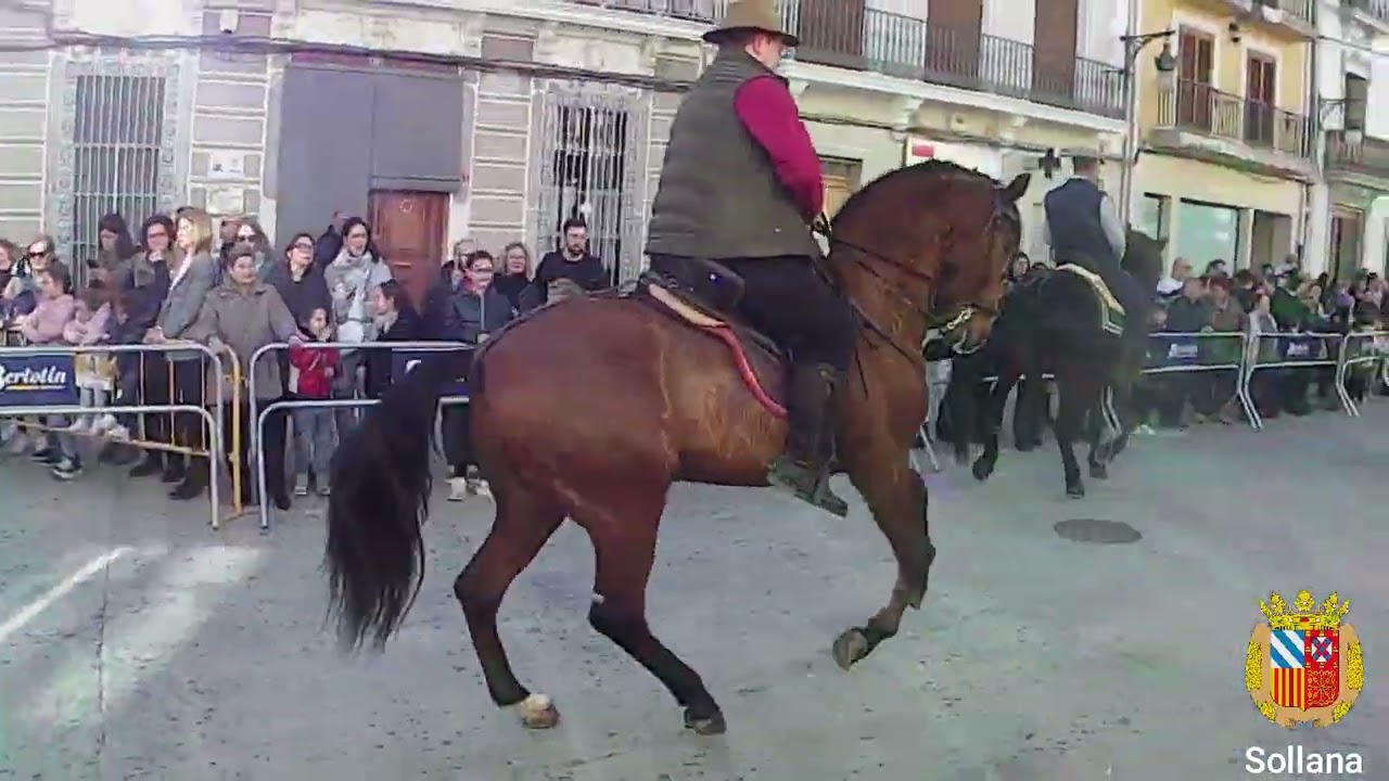 Fiestas de Sant Antoni - Sollana 2023