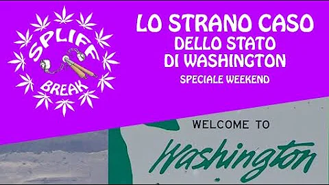 Qual è lo stato di Washington DC?