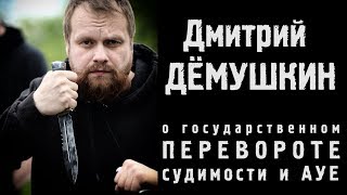 Дмитрий Дёмушкин о государственном перевороте, судимости и АУЕ