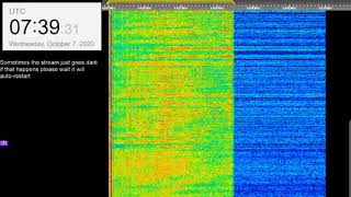 The Buzzer/UVB-76(4625Khz) October 7th 2020 7:38UTC Voice message