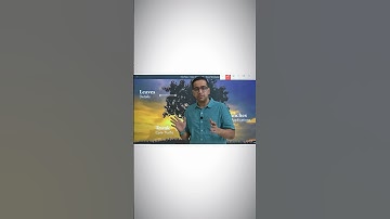 How to remember current affairs in UPSC?