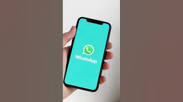 Bug क्या है  ?🤔  #shorts#pacifict7