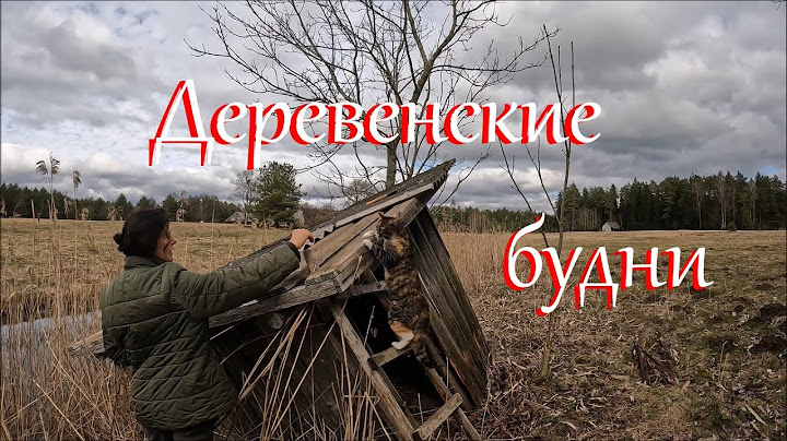 Скучать некогда. Жизнь на Лесном Хуторе.