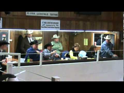 #21 Lorn Rus (2011 Greater Midwest Livestock Auction Competition)