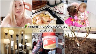 видео: Первые работы на даче☀️🪵🏡Как перезимовали розы🐝Будем переделывать участок🐌Сладкая колбаска минутка🧈🍩 картинка: Первые работы на даче☀️🪵🏡Как перезимовали розы🐝Будем переделывать участок🐌Сладкая колбаска минутка🧈🍩