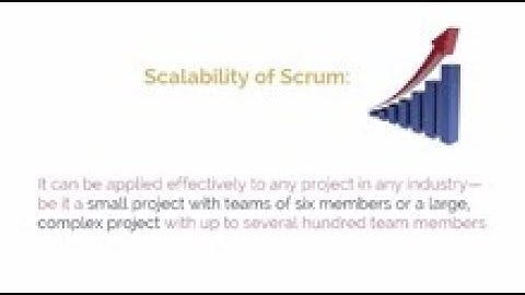 Scrum Project Organization: Your Complete Guide