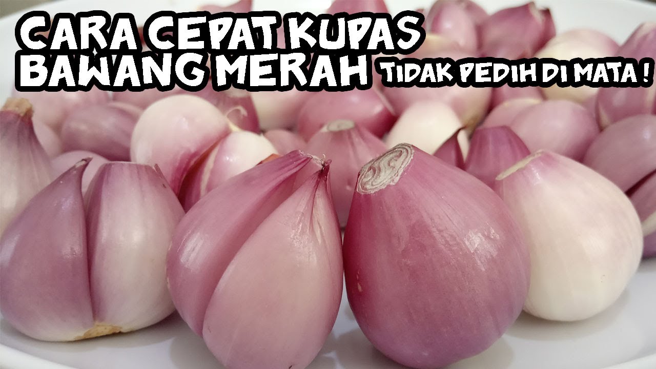 Cara Kupas Bawang Merah 5x Lebih Cepat & Tidak Pedih Di Mata YouTube