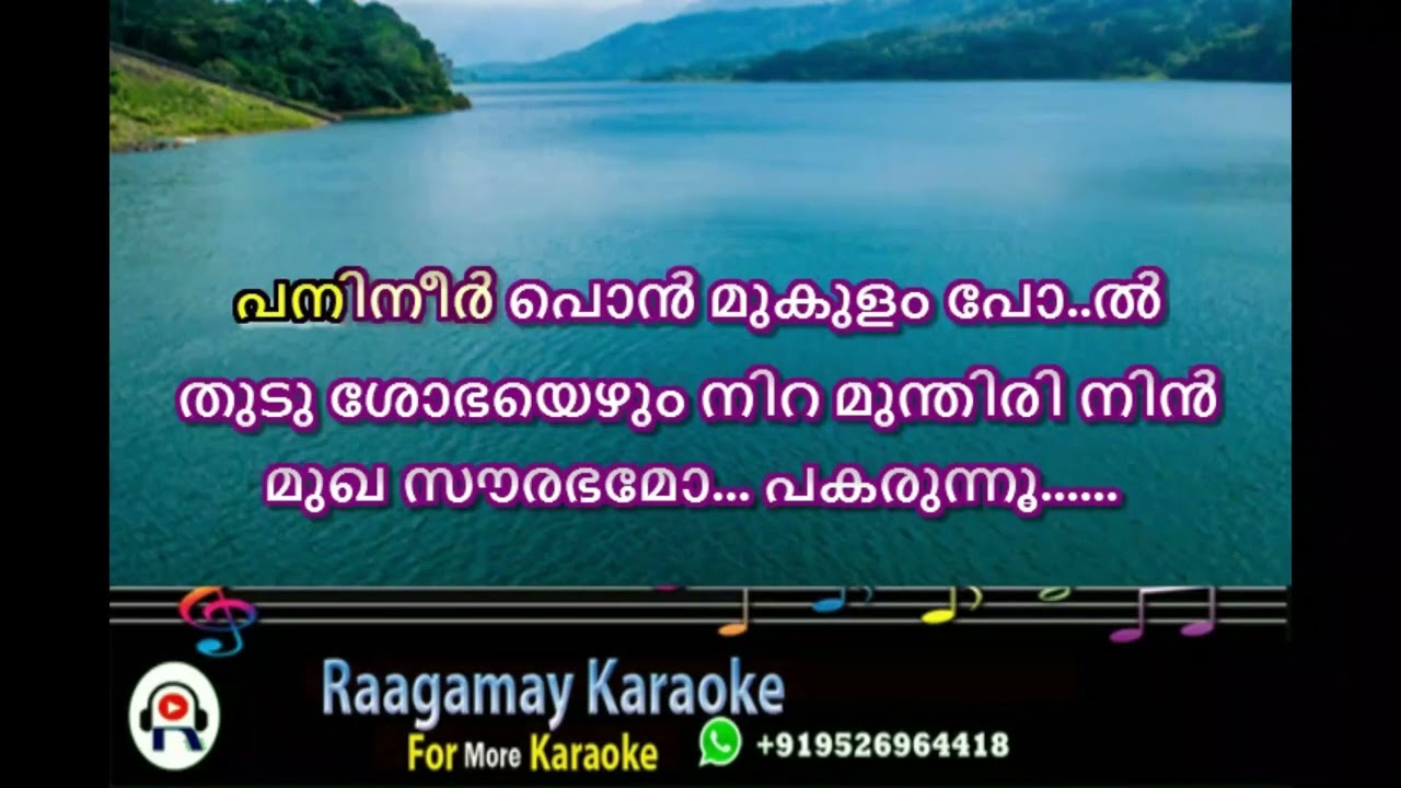 Pavizham Pol Pavizhadharam Karaoke with Lyrics   Malayalam Karaoke   Pavizham Pol