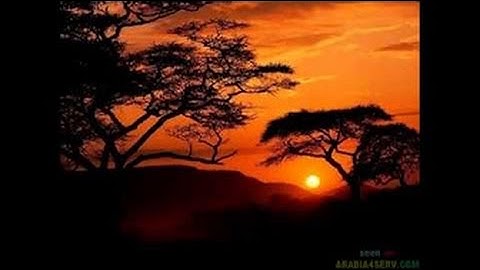 أروع تلاوات الشيخ خالد الجليل المقام الحزين تلاوات مبكية