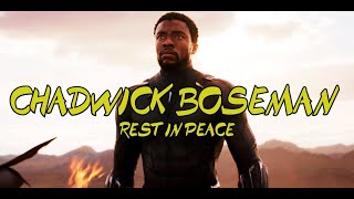 Chadwick Boseman (Black Panther) tribute - Heroes Fall