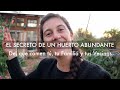 El secreto de un Huerto Abundante! Alimento para ti, tu familia y tus vecinos! #SoberaníaAlimentaria