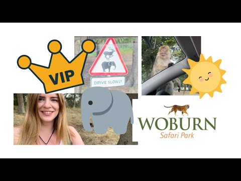 VLOG: Walking with the Elephants at Woburn Safari Park