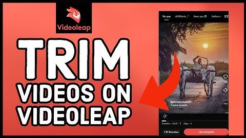 How to Trim Videos on Videoleap 2023?