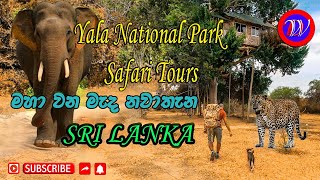 yala national park  safari | The #Yala Safari Experience in Sri Lanka  | 4k cinematic video yala
