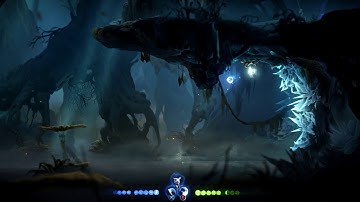 【Ori and the Will of the Wisps】Weird Glitch