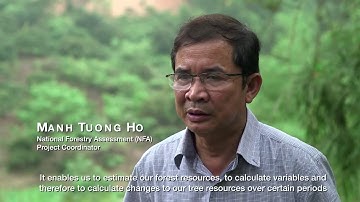 Free forestry software in the battle against climate change