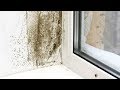 وصفات طبيعية للقضاء على الرطوبة في الغرف و الجدران