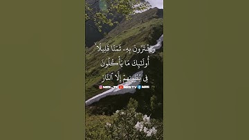 ماهر المعيقلي - سورة البقرة ( برواية حفص عن عاصم ) الأية 174