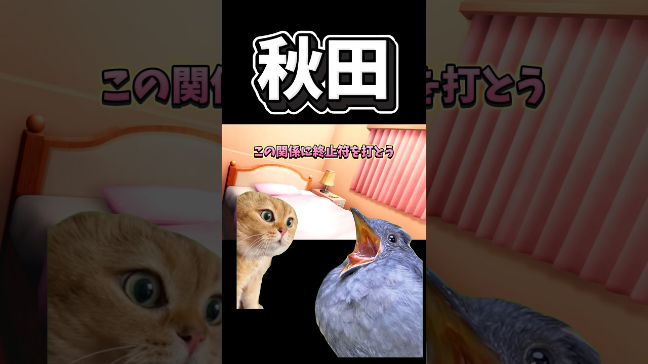 【猫ミーム】秋田